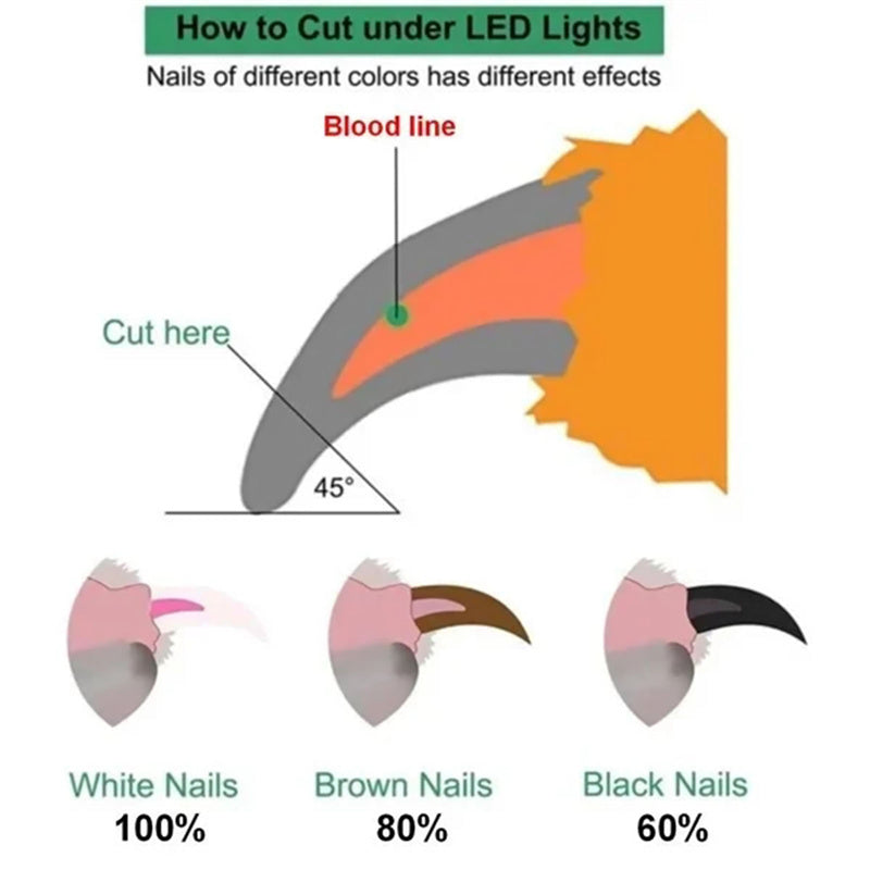 Pet Nail Clippers With LED Light Dogs Cat Nail Scissors