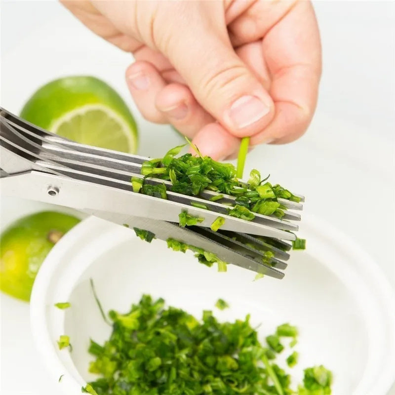 Multifunctional Multi-layer Scissors