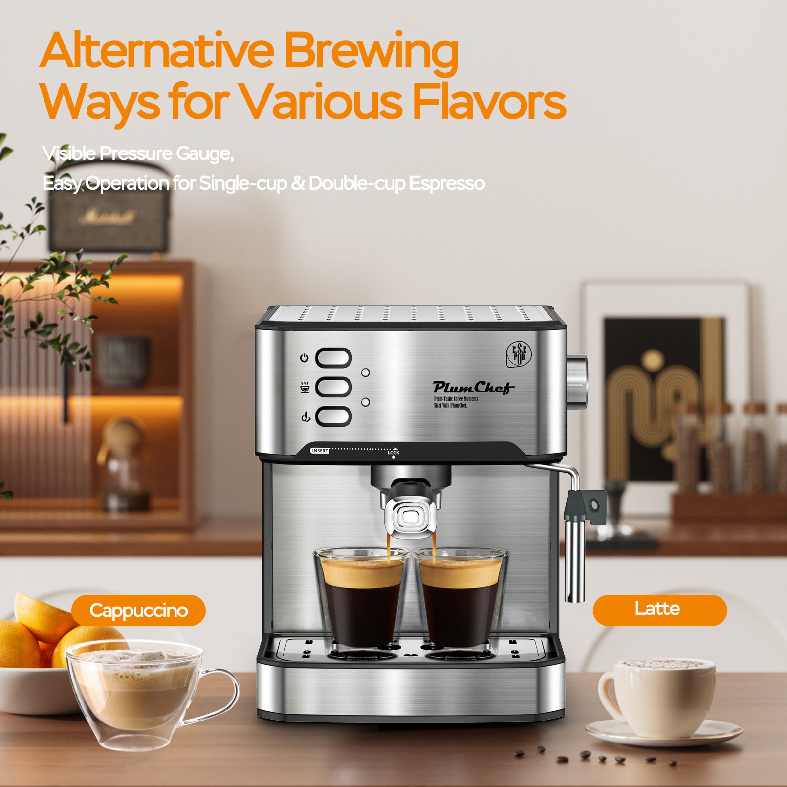 20 Bar Professional Espresso Machine With Milk Frothier