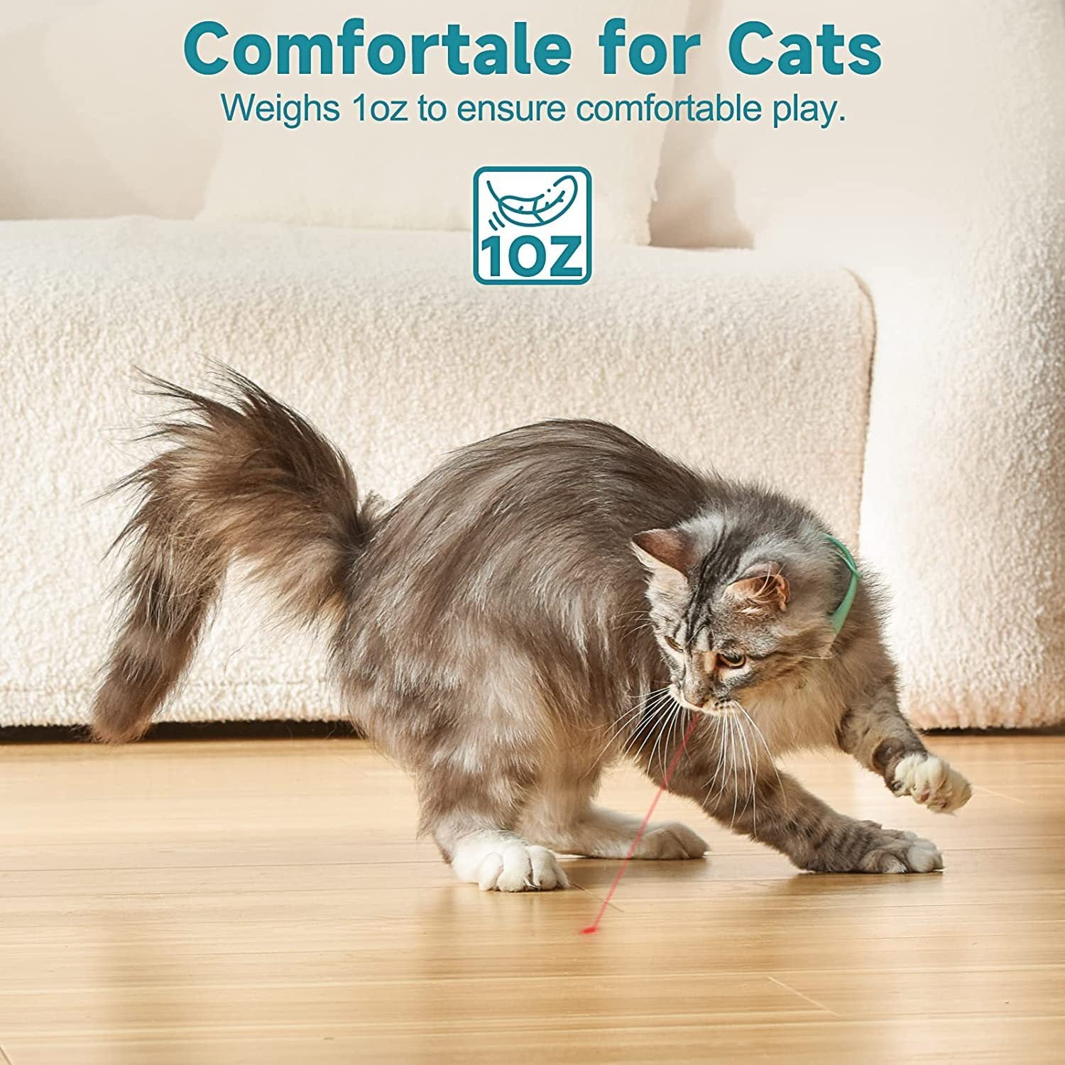 Chase Me Laser Collar – Fun & Exercise in One for Curious Cats