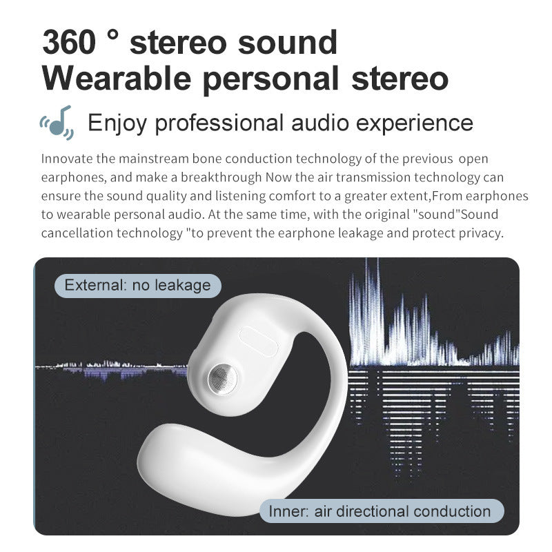 Fashion Stereo Black Technology ear hook