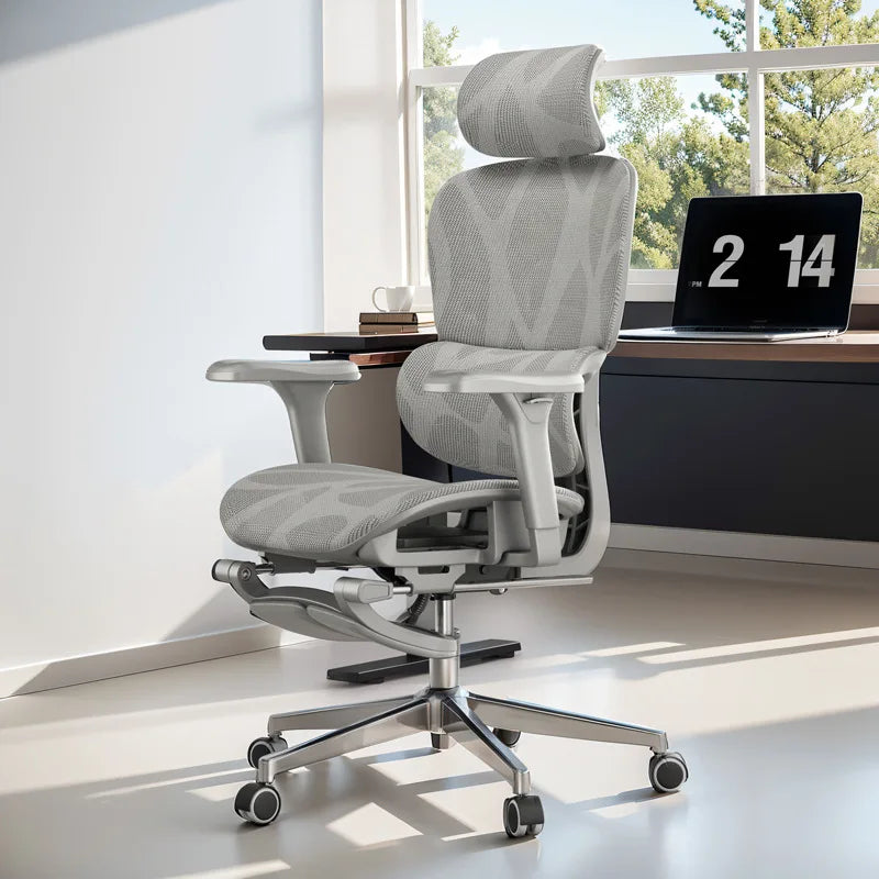 Ergonomic Chair, Office Chair, Sedentary Comfort, Computer Chair