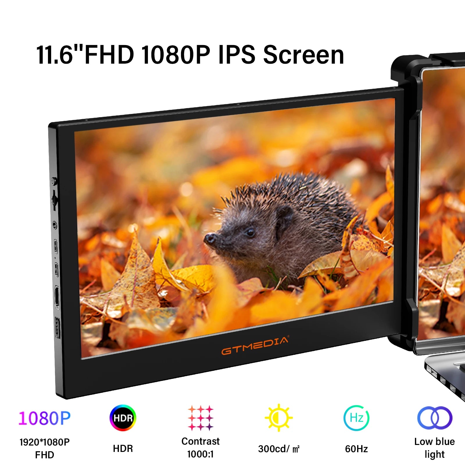 ECAMD Vivid View 11.6" Portable HDR Monitor