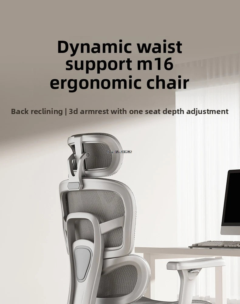 Ergonomic Chair, Office Chair, Sedentary Comfort, Computer Chair