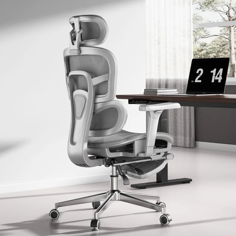 Ergonomic Chair, Office Chair, Sedentary Comfort, Computer Chair
