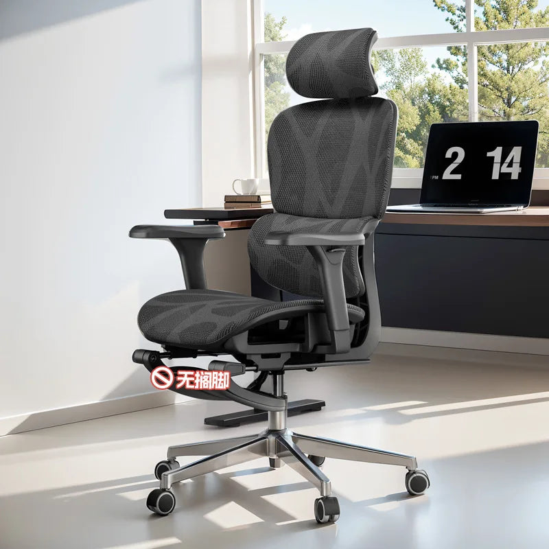 Ergonomic Chair, Office Chair, Sedentary Comfort, Computer Chair