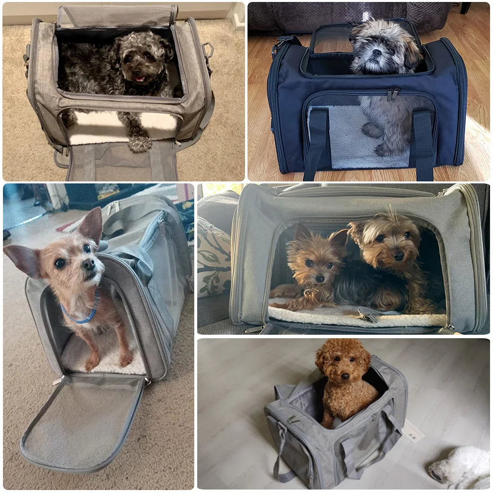 Airline approved small dogs and cats carrying bag