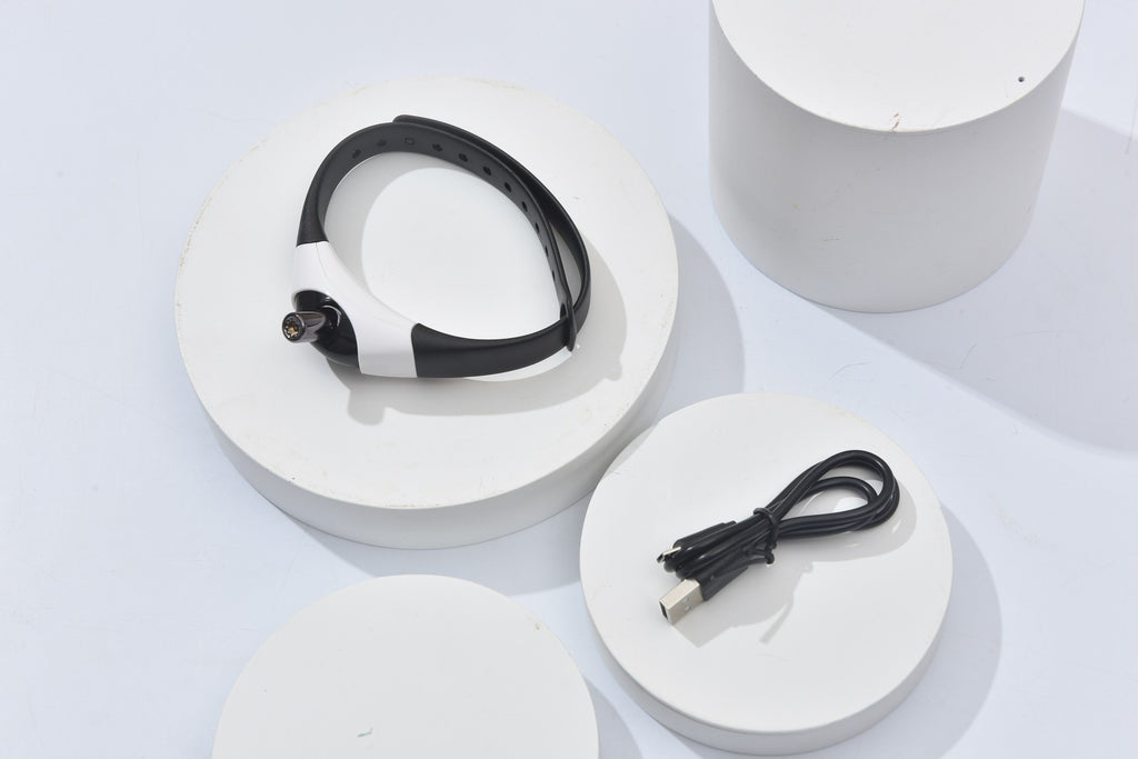 Chase Me Laser Collar – Fun & Exercise in One for Curious Cats