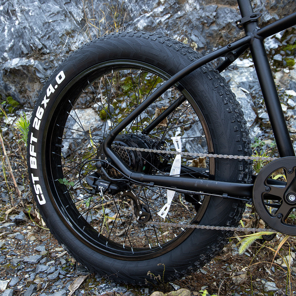Professional Electric Bike For Adults, 26 X 4.0 Inches Fat Tire